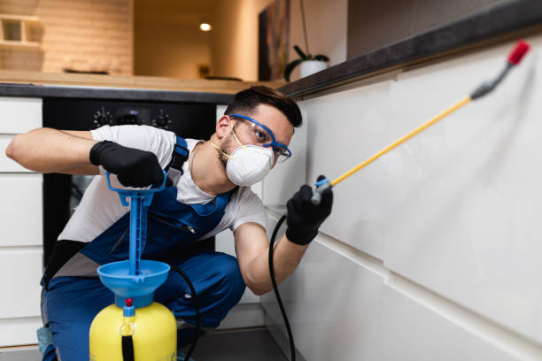 Best Emergency Pest Control  in Carlyle, IL