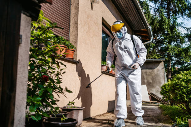 Best Insect Control  in Carlyle, IL