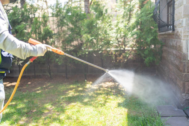 Best Exterminator Services  in Carlyle, IL