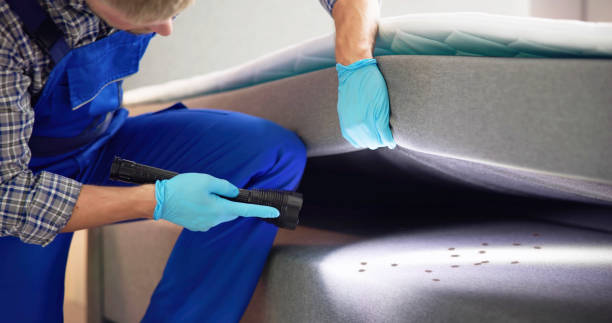 Best Flea Control Services  in Carlyle, IL