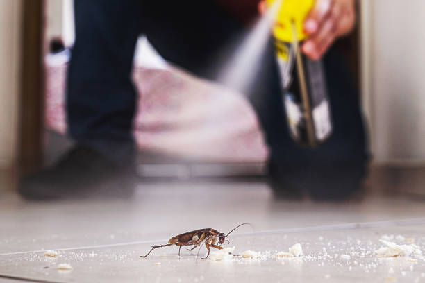 Best Affordable Pest Control Services  in Carlyle, IL