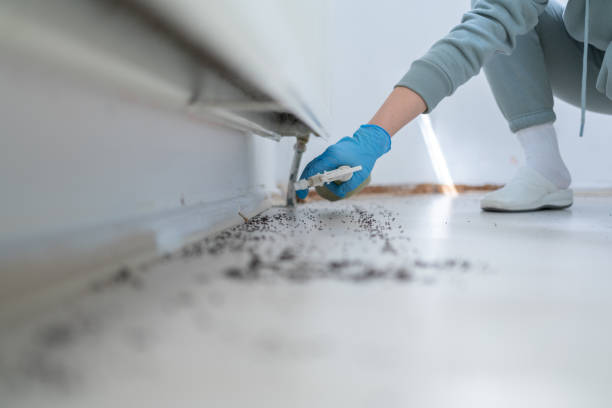 Best Pest Removal Services  in Carlyle, IL